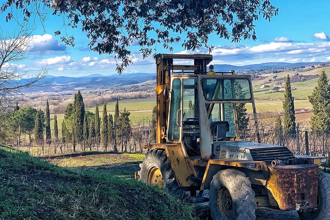 Private Tour: Montalcino Wine Tasting Experience - Customer Reviews and Feedback