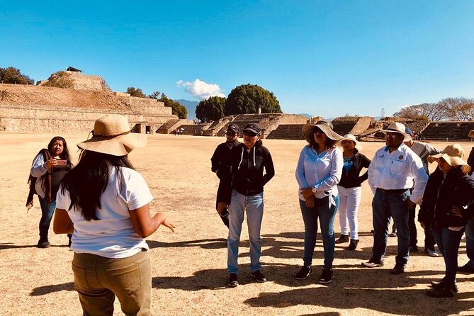 Private Tour, Monte Alban, Alebrijes & Atzompa Ceramic - Admiring Alebrijes Artistry