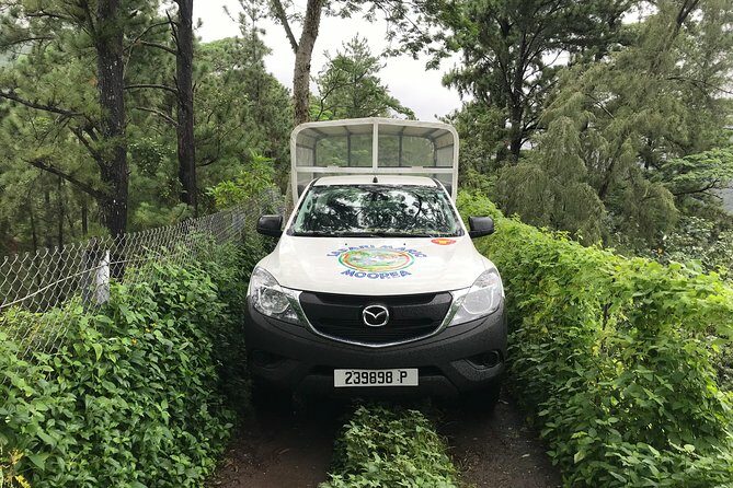 Private Tour Moorea 4WD - Belvedere Pineapple Farm, Magic Mount. - FAQ