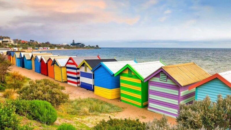 Private Tour: Mornington Peninsula Wine, Beer & Hotsprings - Indulging in Local Produce