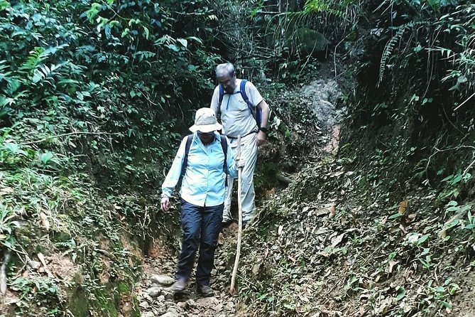 Private Tour - Mountain Hiking Within an Inhabited Volcano - Natural Wonders and Challenges