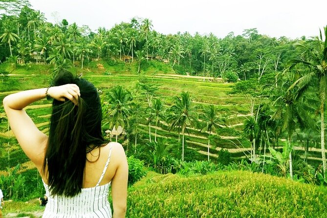 Private Tour : Mt. Batur View, Rice Terrace, Waterfall & More. - Meeting and Pickup