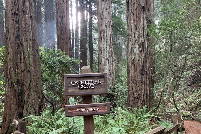 Private Tour Muir Woods and Sausalito - Key Points