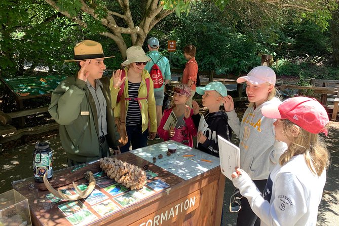 Private Tour Muir Woods and Sausalito - Pickup and Schedule