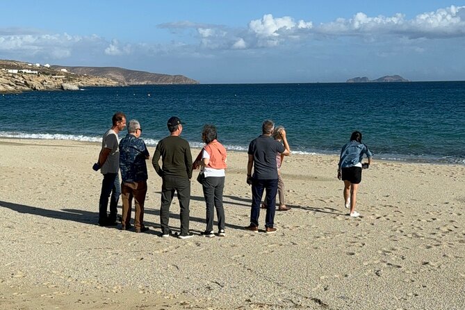 Private Tour Mykonos - Highlights of the Experience