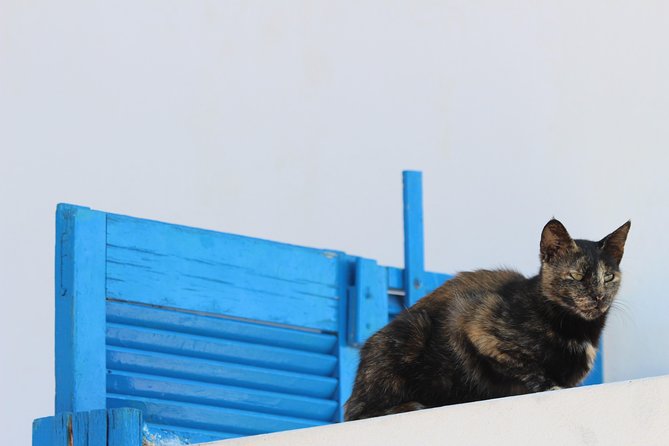 Private Tour: Mykonos Island in Half a Day - Customize the Tour Itinerary