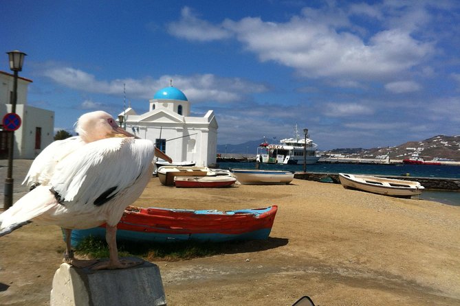 Private Tour: Mykonos Island in Half a Day - Cancellation Policy and Refunds