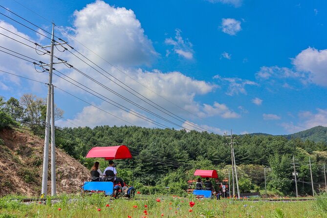 (Private Tour) Nami Island + Railbike + Garden of Morning Calm - Gangchon Rail Park Experience