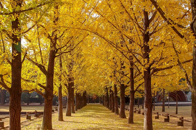 (Private Tour) Nami Island + Railbike + Garden of Morning Calm - Garden of Morning Calm
