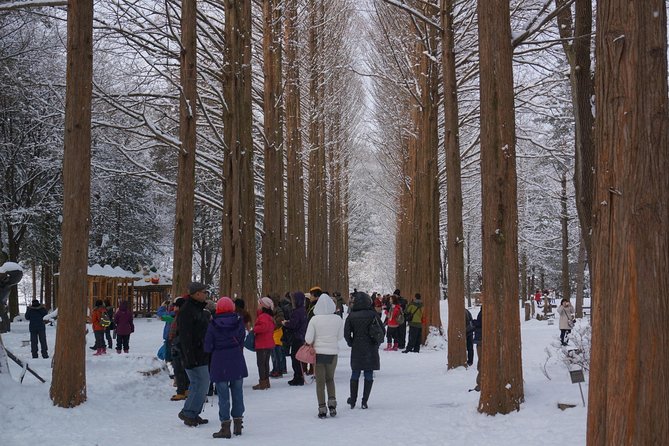 [Private Tour] Nami Island & Snow Viewing and Snow Sled (More Members Less Cost) - Nami Island Exploration
