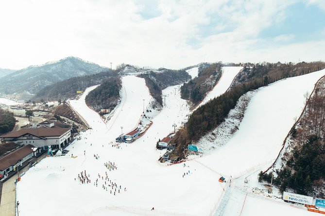 [Private Tour] Nami Island & Snow Viewing and Snow Sled (More Members Less Cost) - Elysian Gangchon Experience