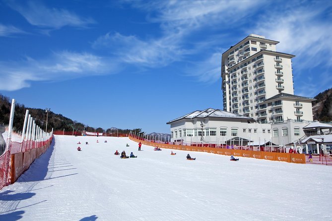 [Private Tour] Nami Island & Snow Viewing and Snow Sled (More Members Less Cost) - Additional Information
