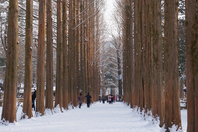 [Private Tour] Nami Island & Snow Viewing and Snow Sled (More Members Less Cost) - Pricing and Reviews