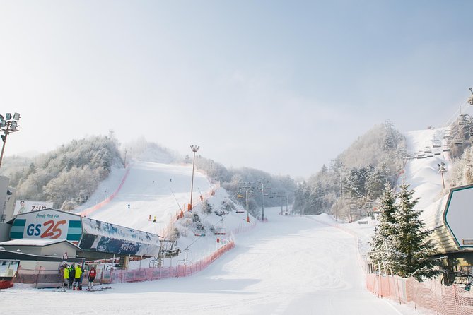 [Private Tour] Nami Island & Snow Viewing and Snow Sled (More Members Less Cost) - Booking and Cancellation