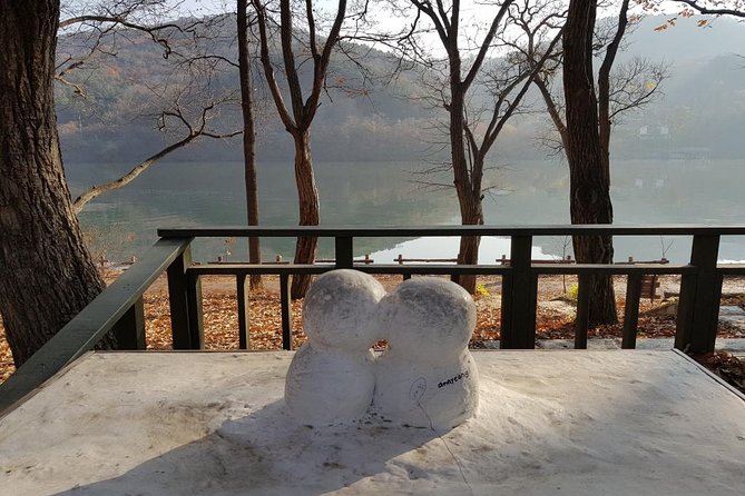 Private Tour Nami Island With Petite France And/Or the Garden of Morning Calm - Accessibility and Transport Options