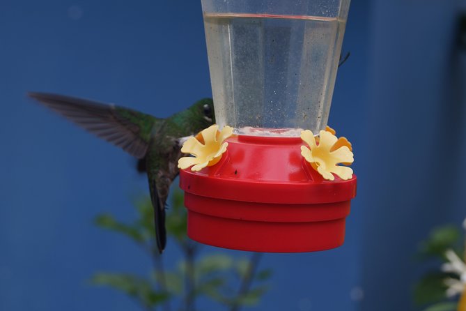 Private Tour - Natural Bird Reserve - Proaves (Hiking/Trekking) - Key Points