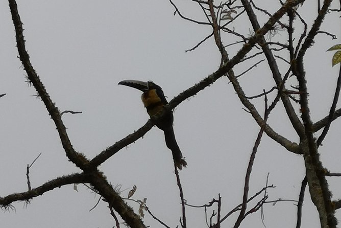 Private Tour - Natural Bird Reserve - Proaves (Hiking/Trekking) - Inclusions and Exclusions
