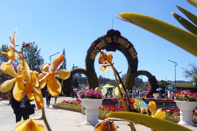 Private Tour Nha Trang - Dalat Excursion (Starting at Nha Trang) - Transportation and Guidance