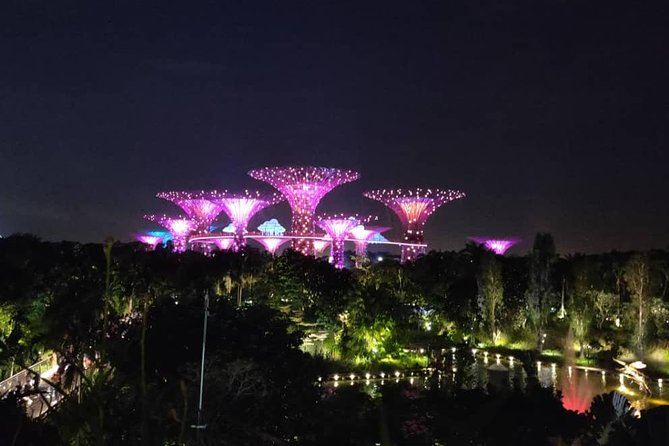 Private Tour: Nighttime Sightseeing With River Cruise - Marina Bay Sands SkyPark Views