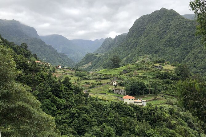Private Tour North Madeira - Discover Laurisilva Forest