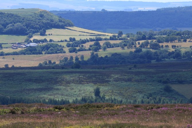 Private Tour: North Yorkshire Moor and Whitby From York in 16 Seater Minibus - Explore North Yorkshire Moor and Whitby