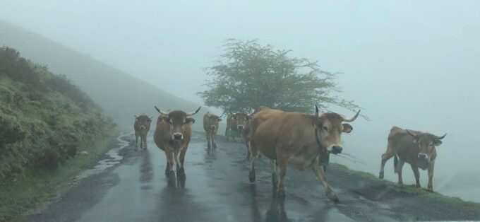 Private Tour Northern Spain 10 Days - Galicia Wonders