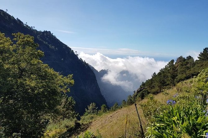 Private Tour Nuns Valley Halfday - Scenic Viewpoints