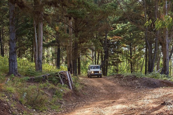 Private Tour: Nuns Valley & Sea Cliff - Half Day Jeep Tour - Meeting and Pickup