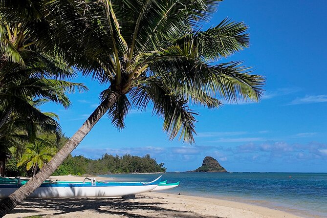 Private Tour Oahu-Full Circle Island-North Shore-Customizable - Key Points