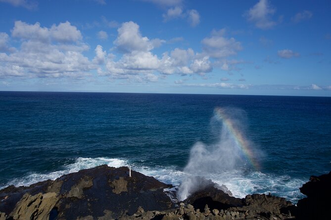 Private Tour Oahu-Full Circle Island-North Shore-Customizable - Recommendations and Additional Information