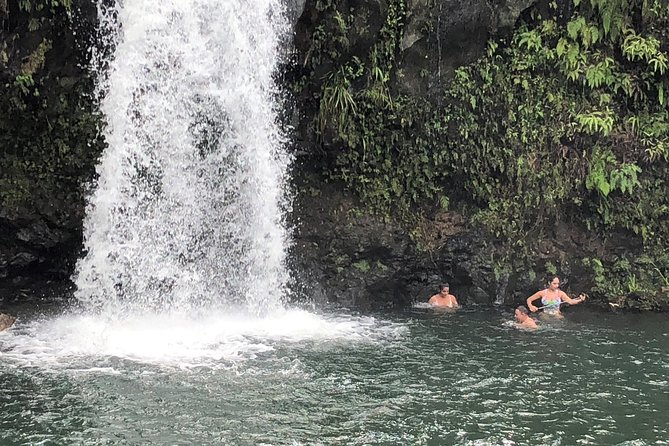 Private Tour : OAHU, MAUI, KAUAI or BIG ISLAND : Pick Any ISLAND - Pickup Arrangements