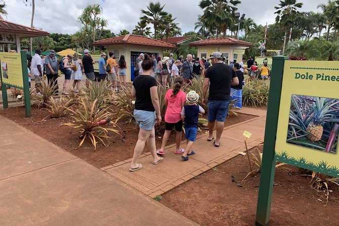 Private Tour : OAHU, MAUI, KAUAI or BIG ISLAND : Pick Any ISLAND - Booking Information