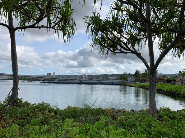 Private Tour : OAHU, MAUI, KAUAI or BIG ISLAND : Pick Any ISLAND - Recap