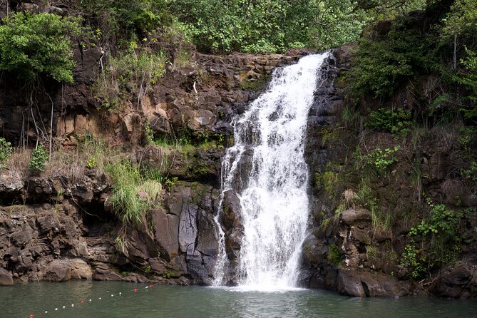 Private Tour Oahu-North Shore Ft. Waimea Falls-Admission Included - Tour Inclusions