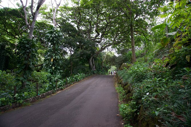Private Tour Oahu-North Shore Ft. Waimea Falls-Admission Included - Pick-up and Drop-off