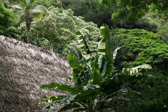 Private Tour Oahu-North Shore Ft. Waimea Falls-Admission Included - Customer Experiences