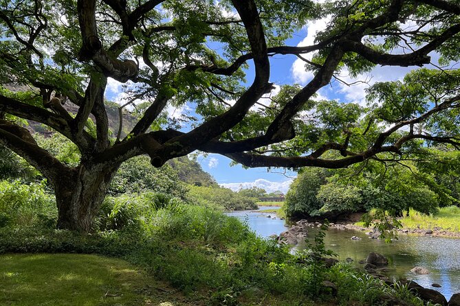 Private Tour Oahu-North Shore Ft. Waimea Falls-Admission Included - Additional Information