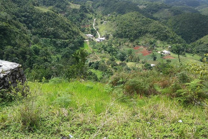 Private Tour Ocho Rios or Runaway Bay To 9 Mile Bob Marley Birth & Resting Place - Customer Satisfaction