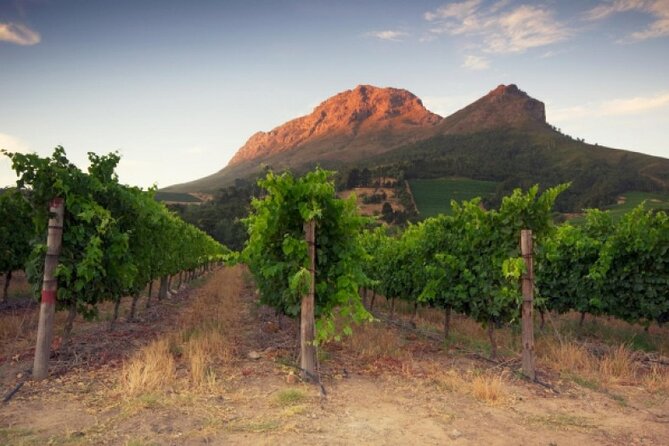 Private Tour of 3 Top Winelands With Wine Tasting From Cape Town - Accessibility and Participation