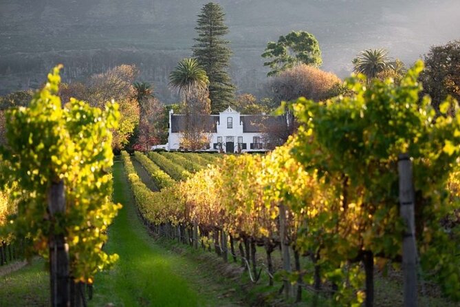Private Tour of 3 Top Winelands With Wine Tasting From Cape Town - Ratings and Feedback