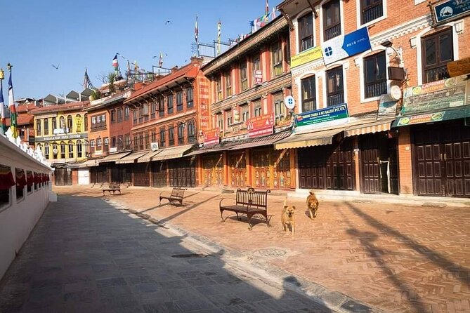 Private Tour of 4 UNESCO Heritage Sites in Kathmandu by Car - Reviews and Ratings