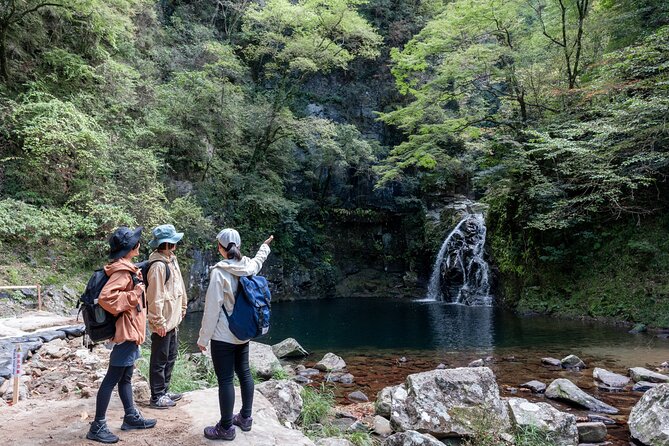 Private Tour of Akame 48 Waterfalls With Bento Making - Meeting and Pickup