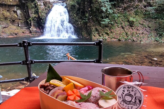 Private Tour of Akame 48 Waterfalls With Bento Making - Accessibility and Recommendations