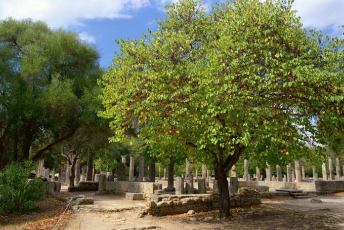 Private Tour of Ancient Olympia- Journey of Legends - Important Considerations