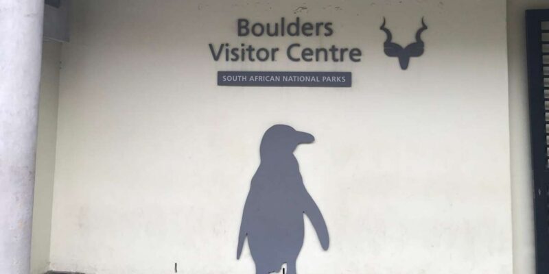 Private Tour Of Cape Peninsula and Boulders Beach Penguins - Itinerary Highlights