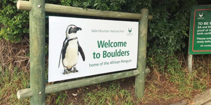 Private Tour Of Cape Peninsula and Boulders Beach Penguins - Inclusions and Additional Information