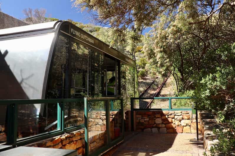 Private Tour of Cape Point + Boulders Beach Penguins Colony - Wildlife and Nature Experiences
