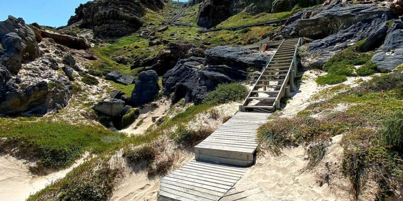 Private Tour of Cape Point + Boulders Beach Penguins Colony - Pickup and Cancellation