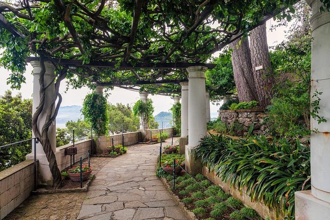 Private Tour of Capri and Anacapri From Sorrento - Accessibility and Additional Information