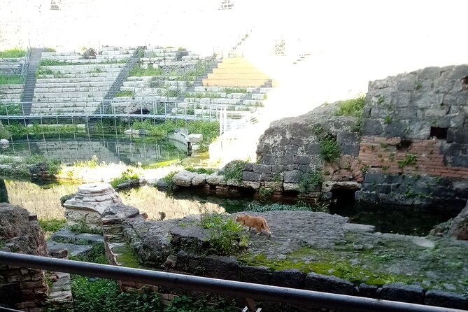 Private Tour of Catania and the Riviera of the Cyclops - Discovering the Riviera of the Cyclops